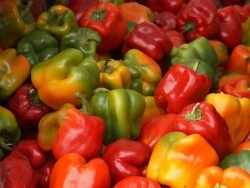 Bell Peppers