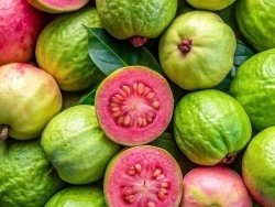 Guava