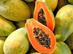 Papaya