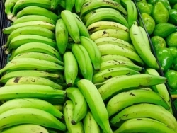 Plantain
