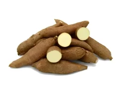 Cassava