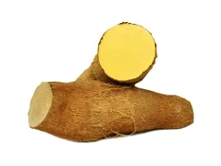 Yellow Yam