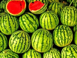 Watermelon