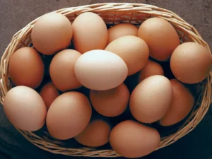 Local Eggs