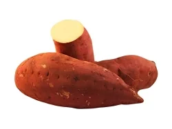 Sweet Potato